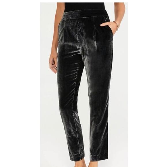 Ann Taylor Velvet Easy Pull On Ankle Pants Pewter NWT sz M Beautiful! - Picture 1 of 10